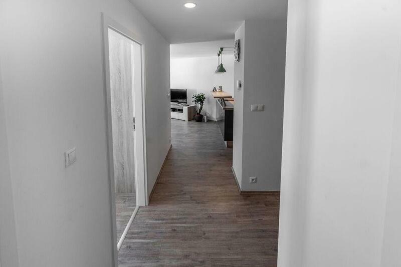 Old Town Luxury Apartment In Heart Of 布拉迪斯拉发 外观 照片